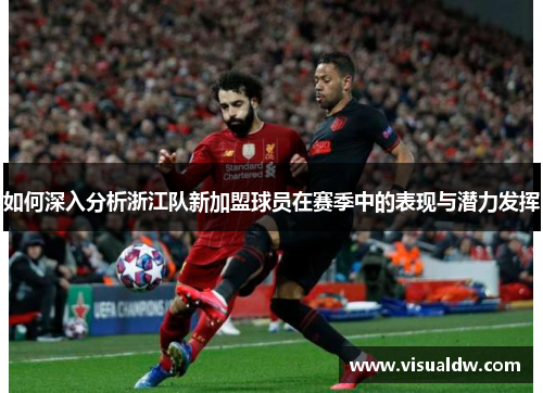 如何深入分析浙江队新加盟球员在赛季中的表现与潜力发挥