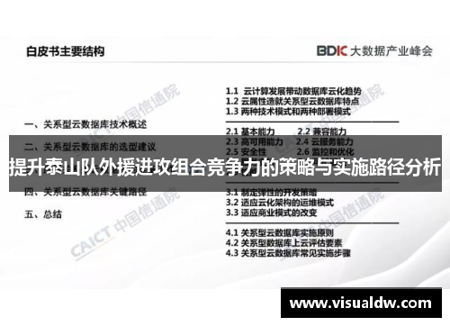 提升泰山队外援进攻组合竞争力的策略与实施路径分析