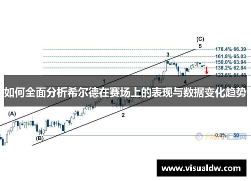 如何全面分析希尔德在赛场上的表现与数据变化趋势