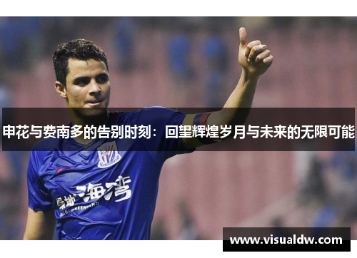 申花与费南多的告别时刻：回望辉煌岁月与未来的无限可能